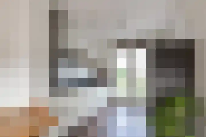 Oudzoom 4 Bergschenhoek thumbnail 12