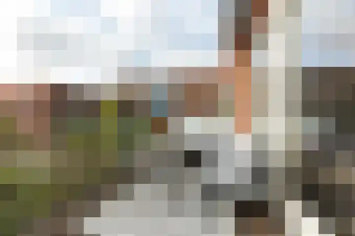 Oudzoom 4 Bergschenhoek thumbnail 15