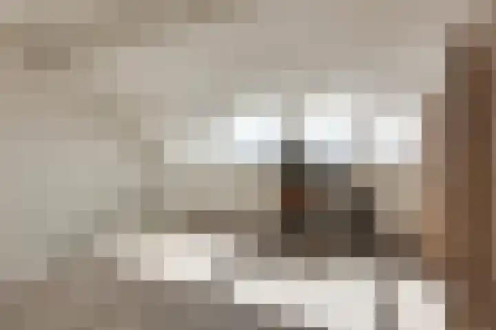 Oudzoom 4 Bergschenhoek thumbnail 23