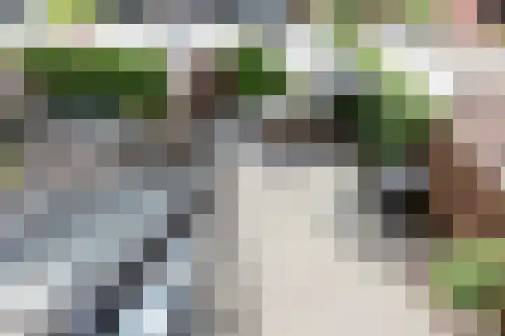 Oudzoom 4 Bergschenhoek thumbnail 24
