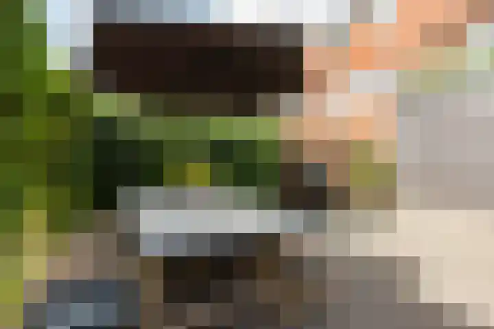 Oudzoom 4 Bergschenhoek thumbnail 25