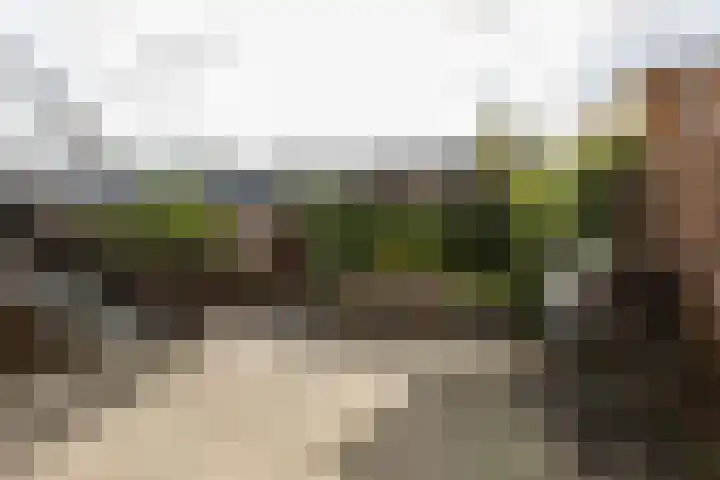 Oudzoom 4 Bergschenhoek thumbnail 26