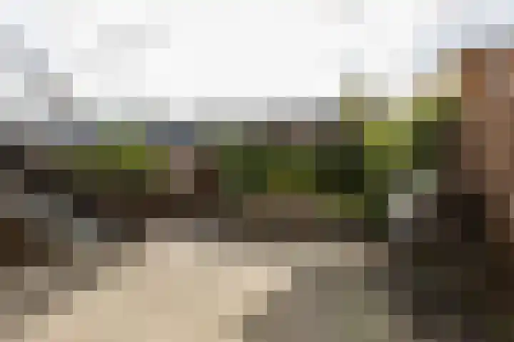 Oudzoom 4 Bergschenhoek thumbnail 5