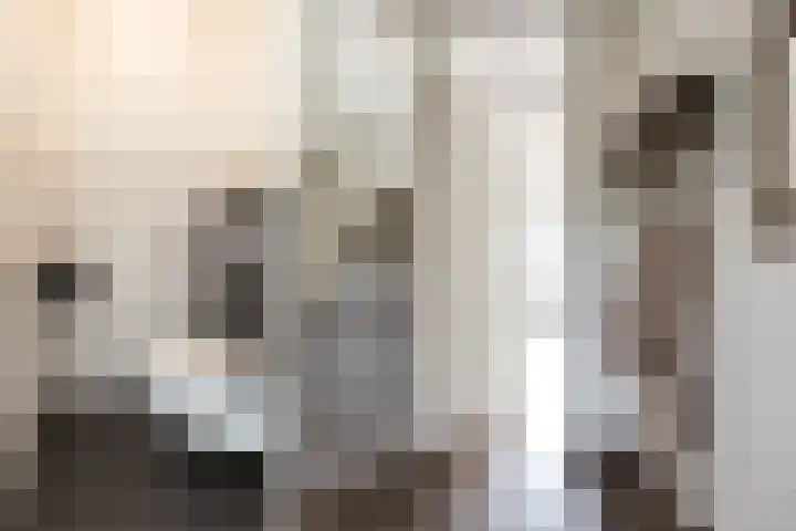 Oudzoom 4 Bergschenhoek thumbnail 7