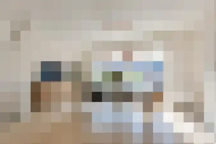 Oudzoom 40 Bergschenhoek thumbnail 12