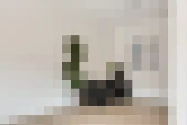 Oudzoom 40 Bergschenhoek thumbnail 17