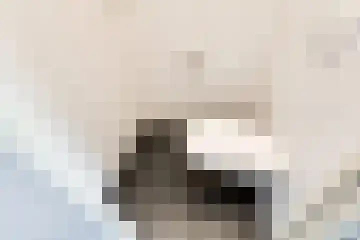Oudzoom 40 Bergschenhoek thumbnail 19