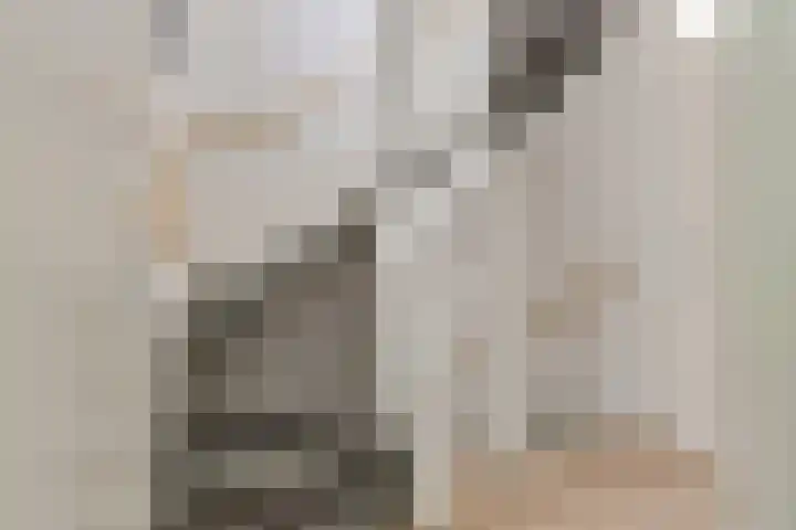 Oudzoom 40 Bergschenhoek thumbnail 20