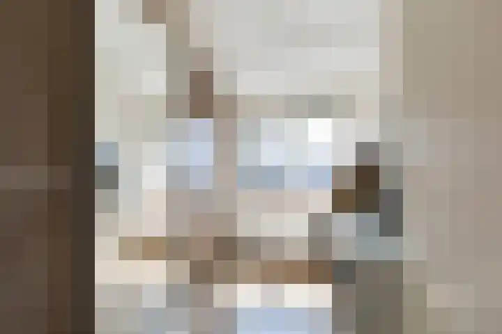 Oudzoom 40 Bergschenhoek thumbnail 27