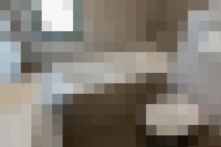 Oudzoom 40 Bergschenhoek thumbnail 29