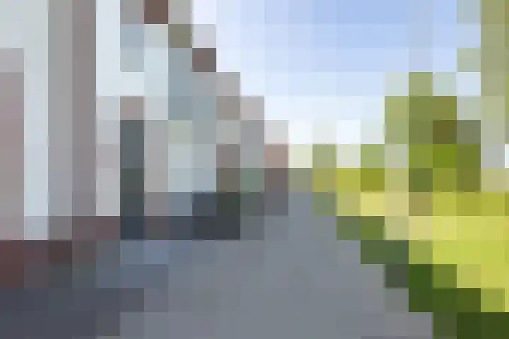 Oudzoom 40 Bergschenhoek thumbnail 5