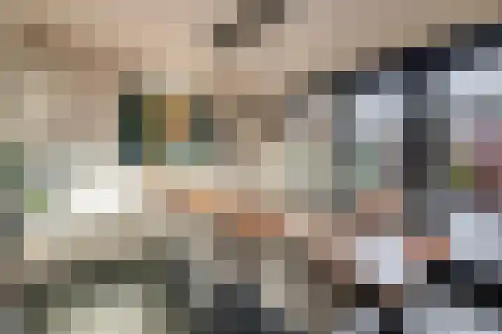 Oudzoom 68 Bergschenhoek thumbnail 15