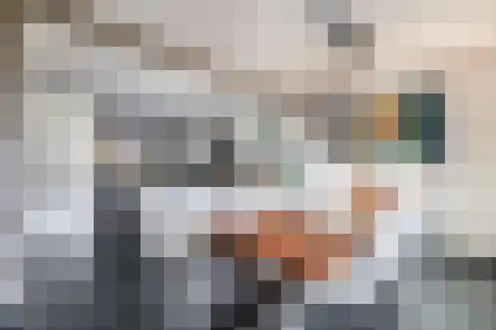 Oudzoom 68 Bergschenhoek thumbnail 17