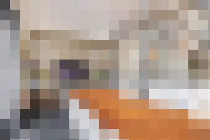 Oudzoom 68 Bergschenhoek thumbnail 18