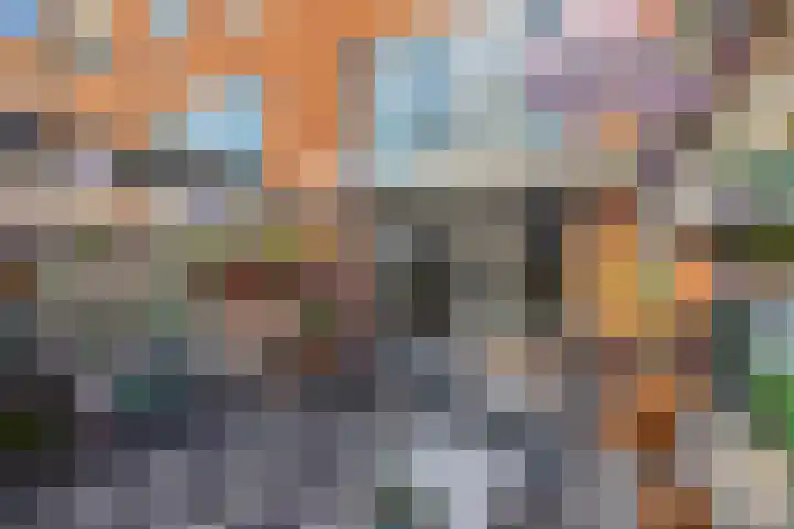 Oudzoom 68 Bergschenhoek thumbnail 22
