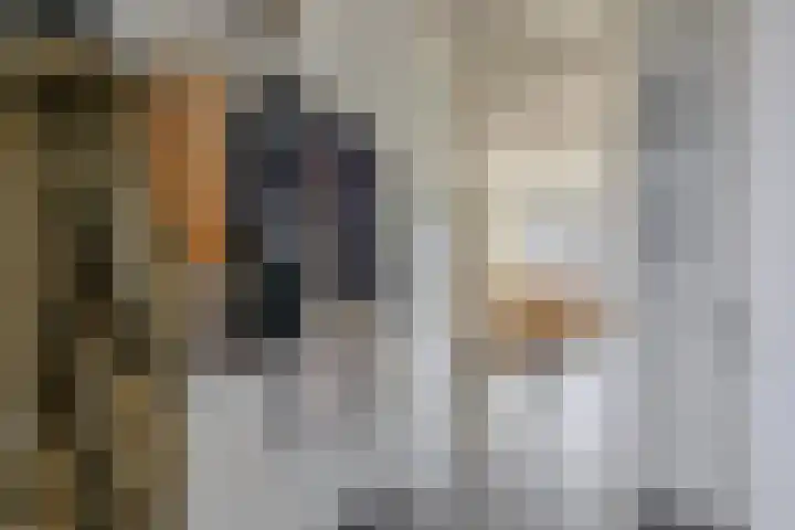 Oudzoom 68 Bergschenhoek thumbnail 26