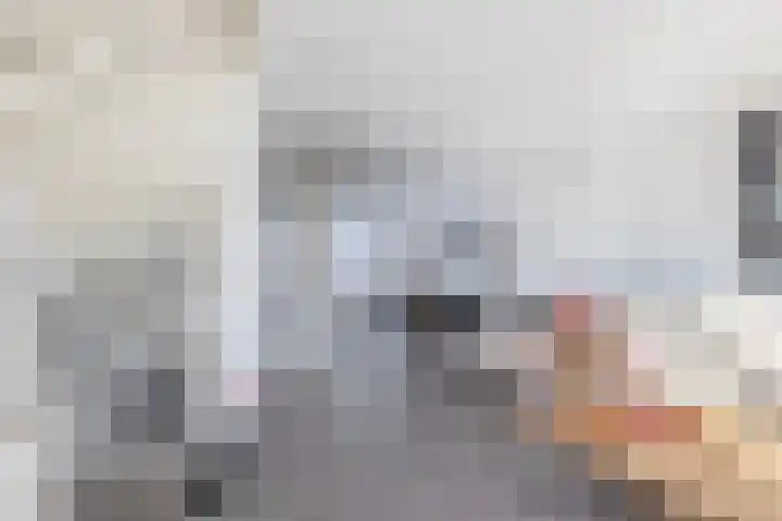 Oudzoom 68 Bergschenhoek thumbnail 29