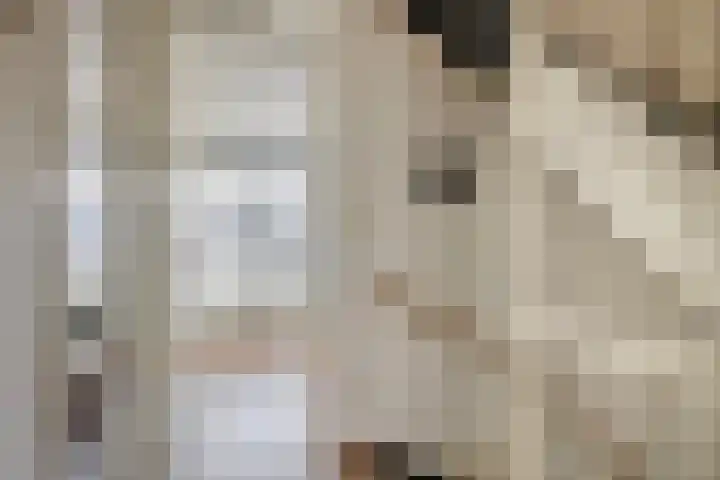 Oudzoom 68 Bergschenhoek thumbnail 33