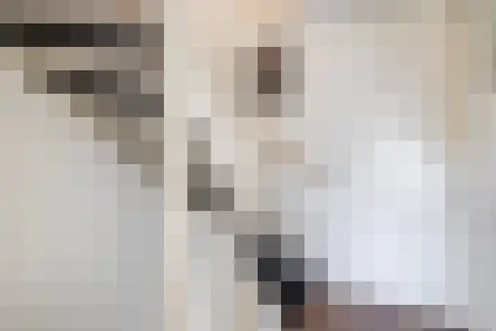 Oudzoom 68 Bergschenhoek thumbnail 34