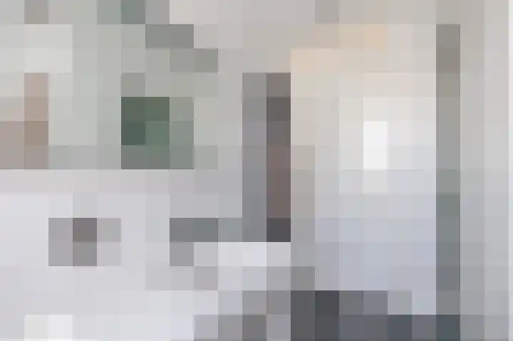Oudzoom 68 Bergschenhoek thumbnail 42