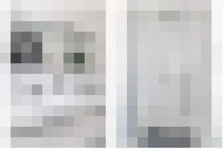 Oudzoom 68 Bergschenhoek thumbnail 43