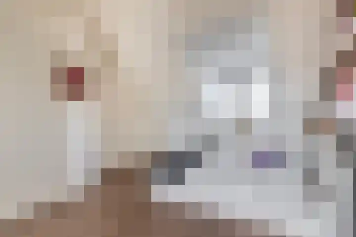 Oudzoom 68 Bergschenhoek thumbnail 44