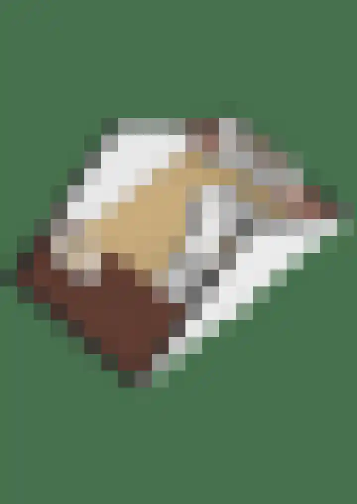 Oudzoom 68 Bergschenhoek thumbnail 53