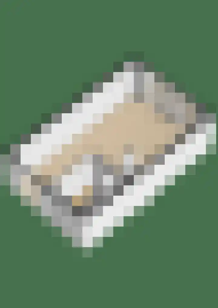 Oudzoom 68 Bergschenhoek thumbnail 55