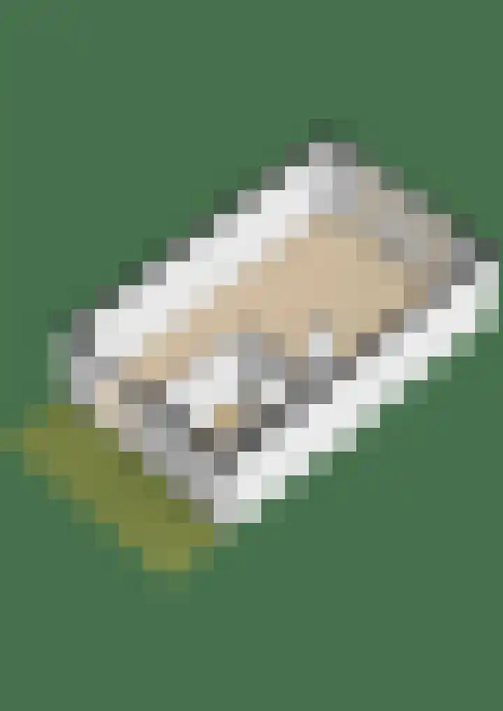 Oudzoom 68 Bergschenhoek thumbnail 57