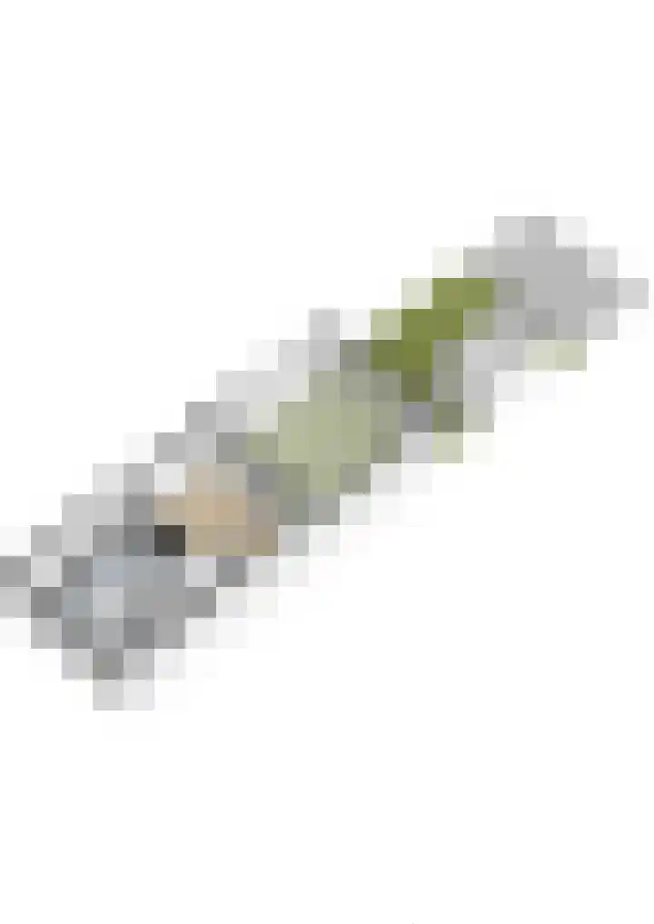 Oudzoom 68 Bergschenhoek thumbnail 60