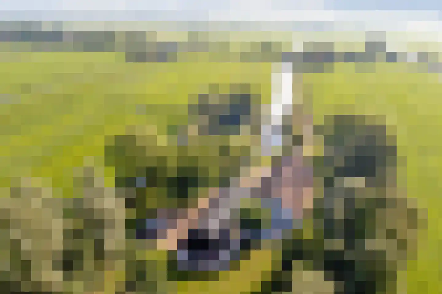 Oukoop 44 in Nieuwer Ter Aa