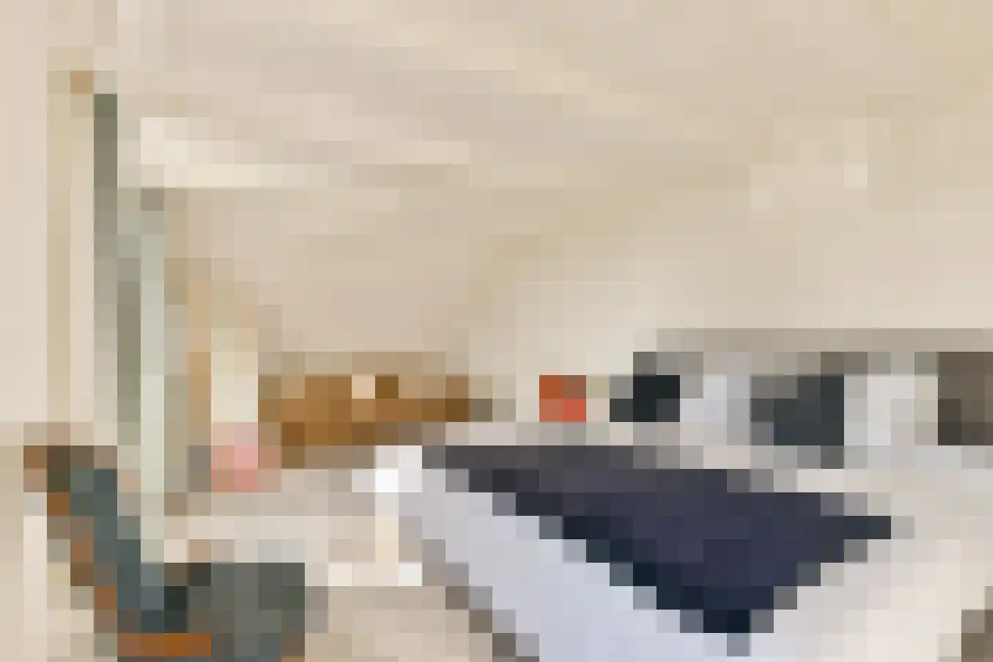 Oukoop 44 Nieuwer Ter Aa thumbnail 21