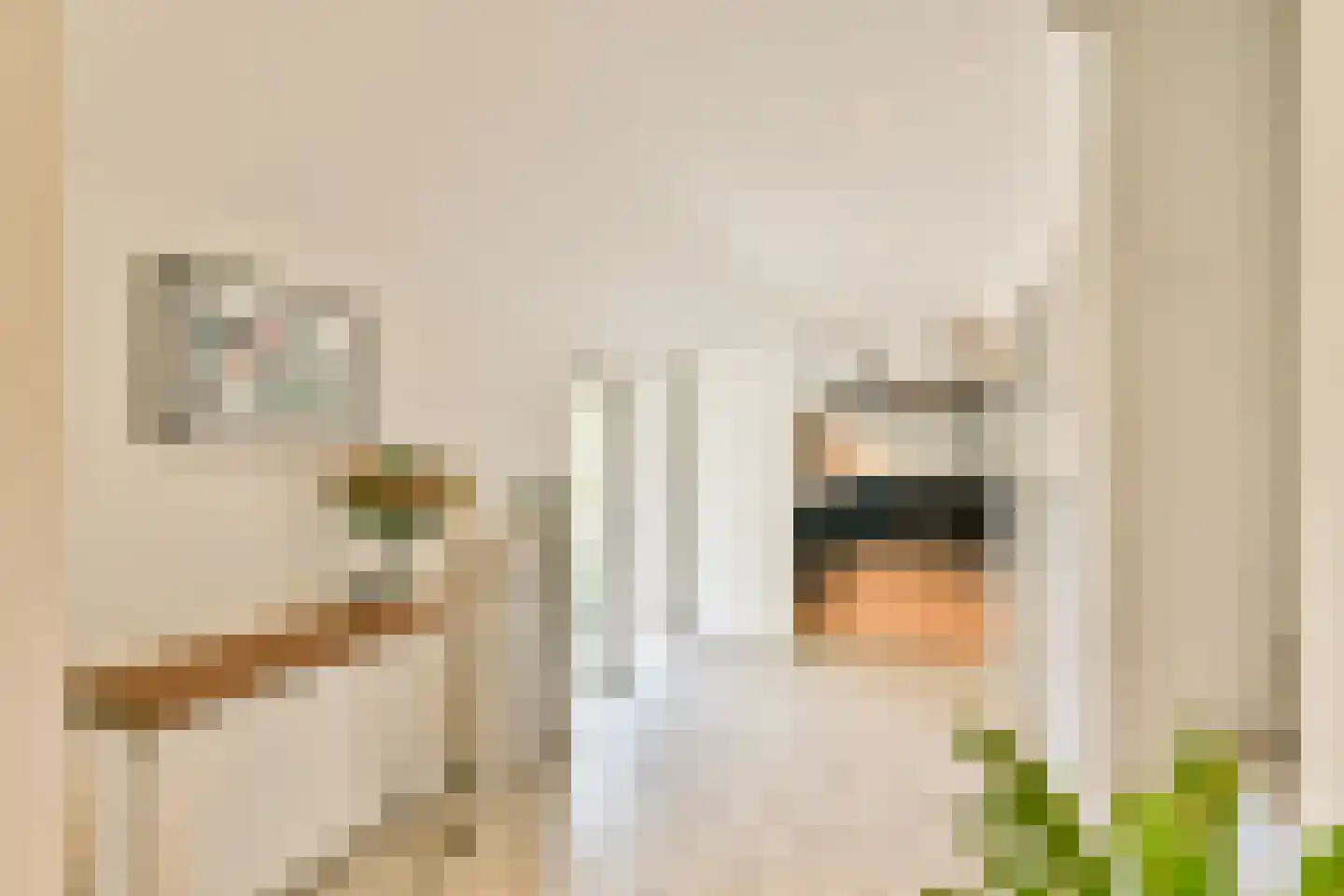 Oukoop 44 Nieuwer Ter Aa thumbnail 26