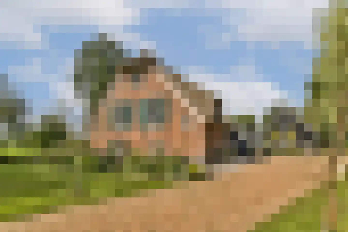 Oukoop 44 Nieuwer Ter Aa foto 3