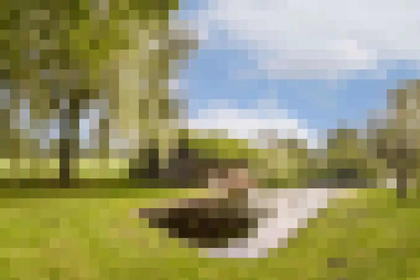 Oukoop 44 Nieuwer Ter Aa thumbnail 41