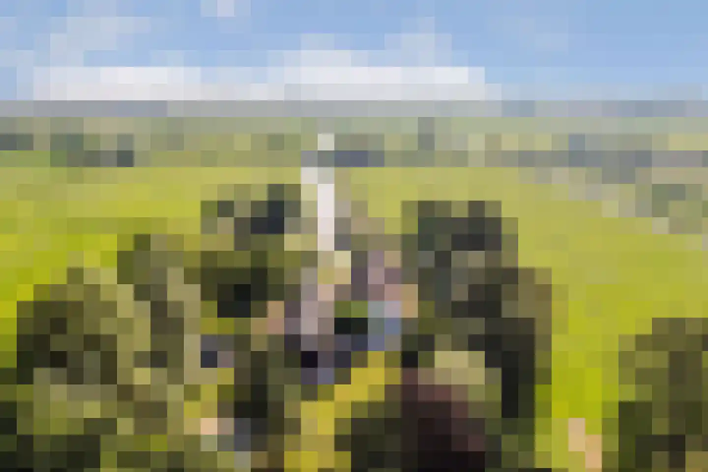 Oukoop 44 Nieuwer Ter Aa thumbnail 47