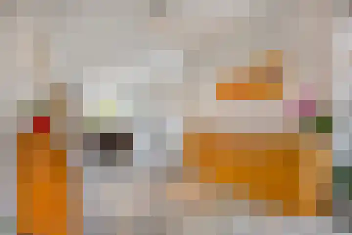 Oukoopstraat 6 Zoetermeer thumbnail 10