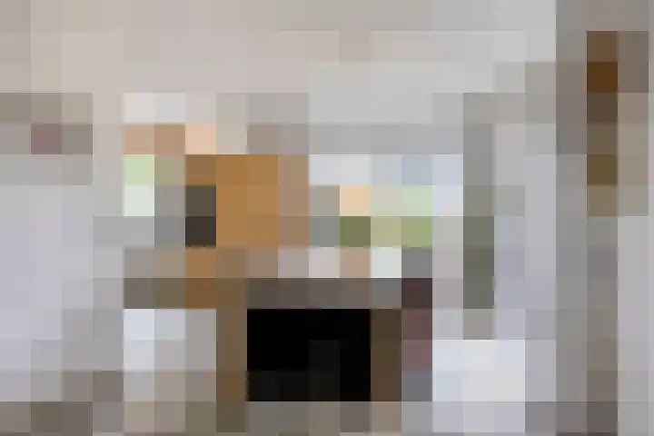 Oukoopstraat 6 Zoetermeer thumbnail 11