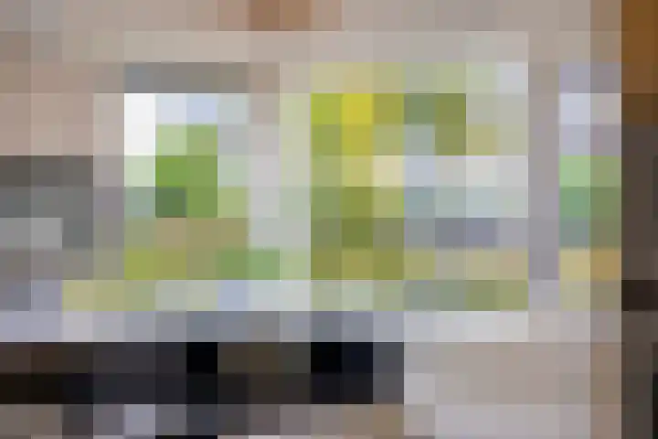 Oukoopstraat 6 Zoetermeer thumbnail 15