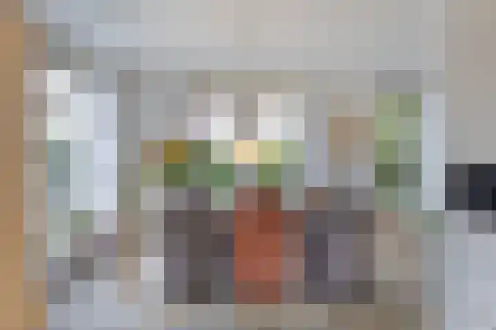 Oukoopstraat 6 Zoetermeer thumbnail 18