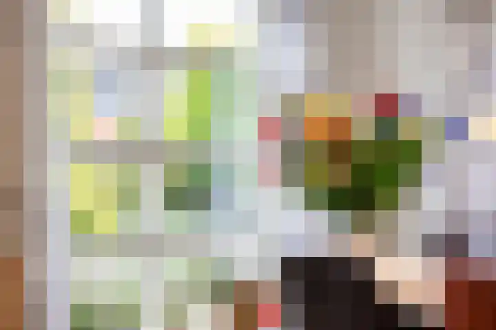 Oukoopstraat 6 Zoetermeer thumbnail 19