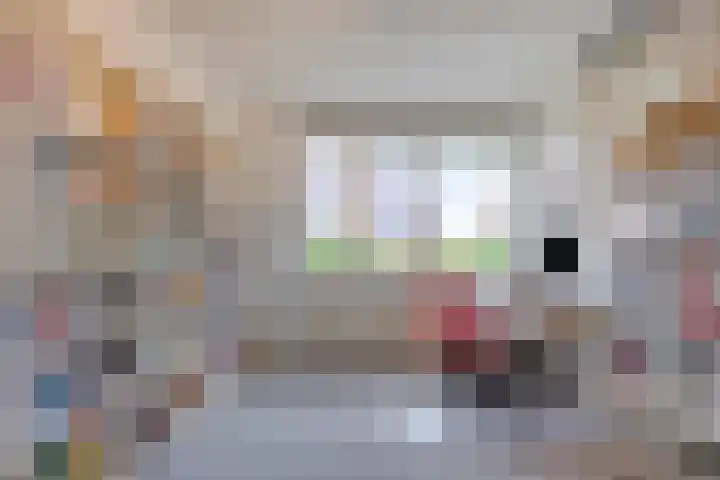 Oukoopstraat 6 Zoetermeer thumbnail 29