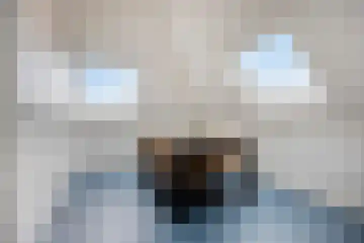 Oukoopstraat 6 Zoetermeer thumbnail 35