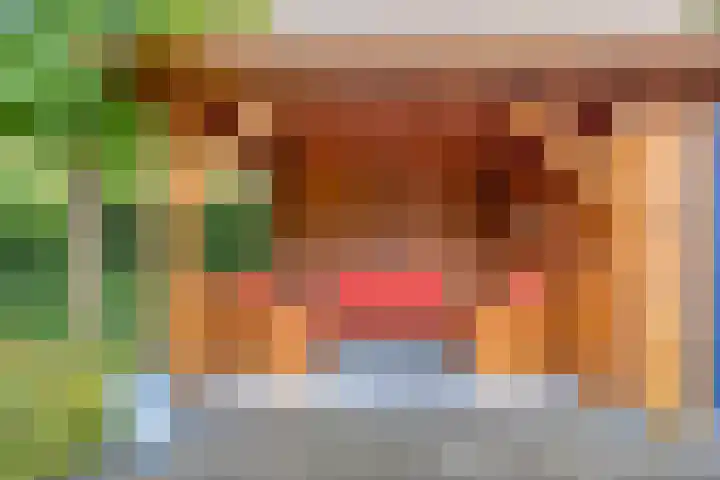 Oukoopstraat 6 Zoetermeer thumbnail 4