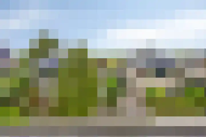 Oukoopstraat 6 Zoetermeer thumbnail 42