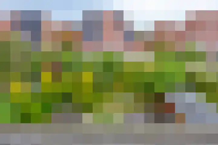 Oukoopstraat 6 Zoetermeer thumbnail 43