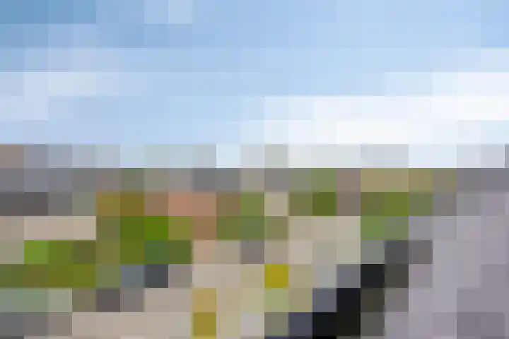 Oukoopstraat 6 Zoetermeer thumbnail 45