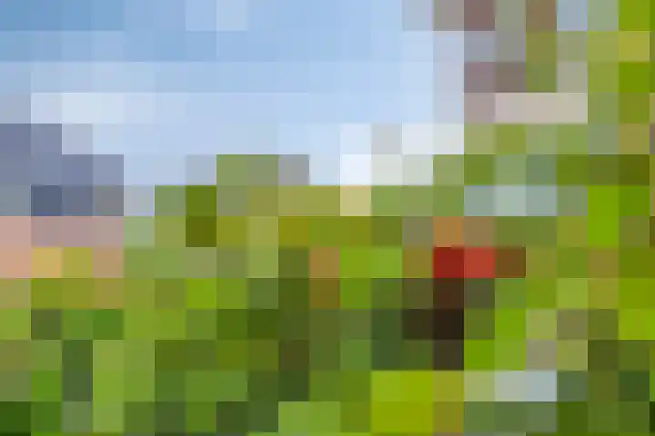 Oukoopstraat 6 Zoetermeer thumbnail 49