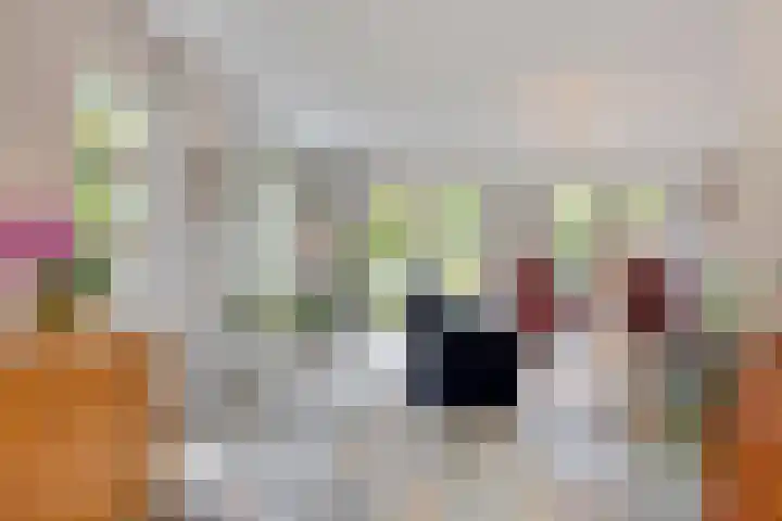 Oukoopstraat 6 Zoetermeer thumbnail 5