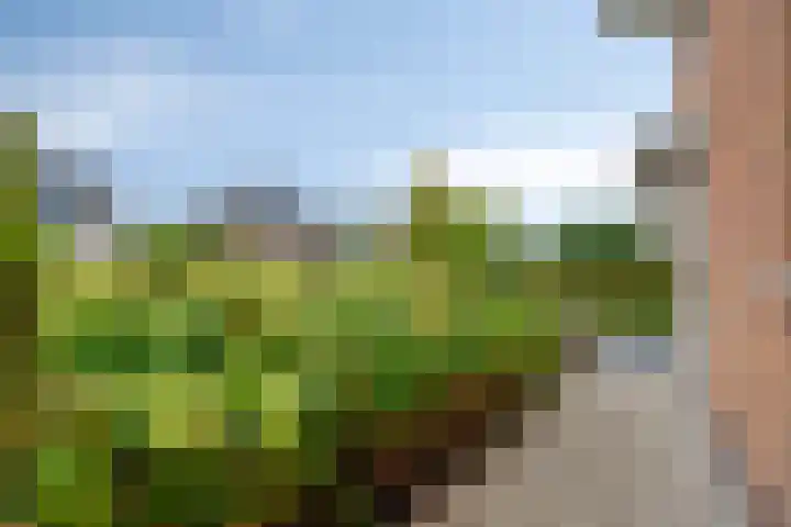 Oukoopstraat 6 Zoetermeer thumbnail 52